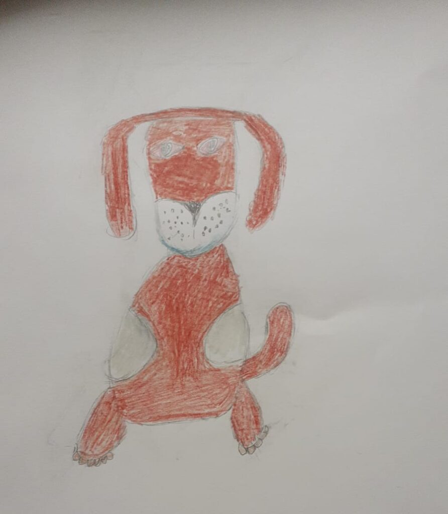 Un cane disegnato dai ragazzi