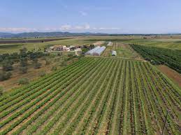 l’Azienda Agricola La Magia e i suoi vini Brunello di Montalcino Docg.